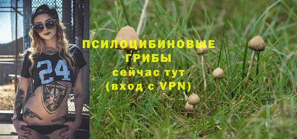 a pvp Надым