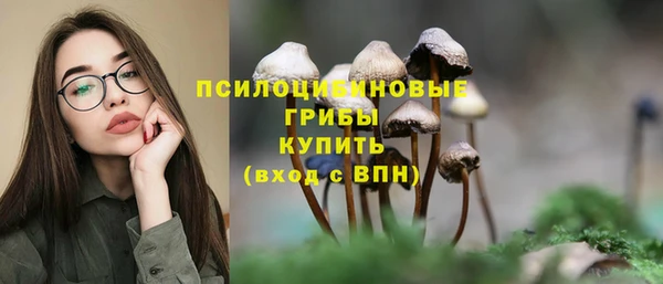 a pvp Надым