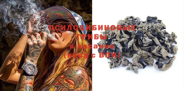 спайс Нея