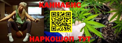 шишки Заводоуковск