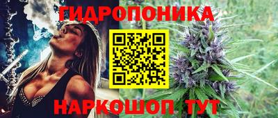 шишки Заводоуковск
