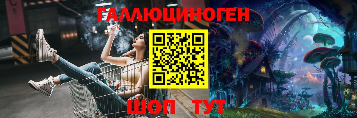 Псилоцибиновые грибы GOLDEN TEACHER  Кингисепп  Псилоцибиновые грибы Psilocybine cubensis 