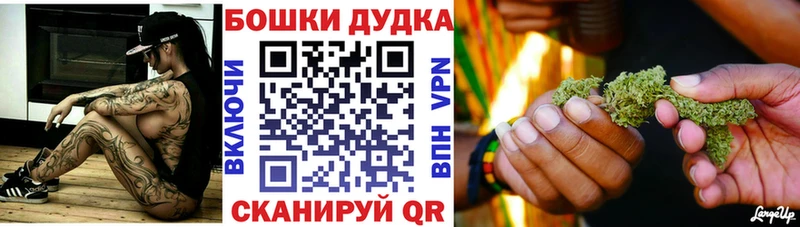 Конопля индика  купить наркотик  Кингисепп 